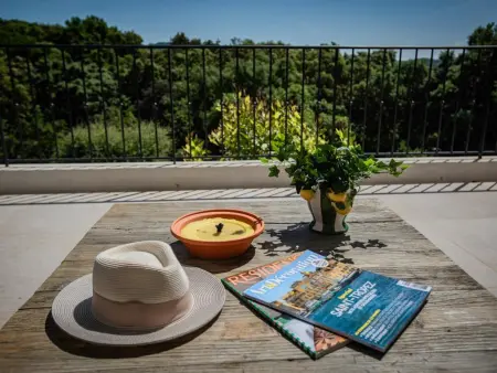 La Neptune, villa 4 chambres avec piscine à La Croix-Valmer : photo 51