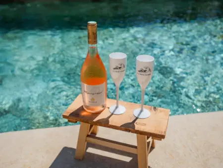 La Neptune, villa 4 chambres avec piscine à La Croix-Valmer : photo 55