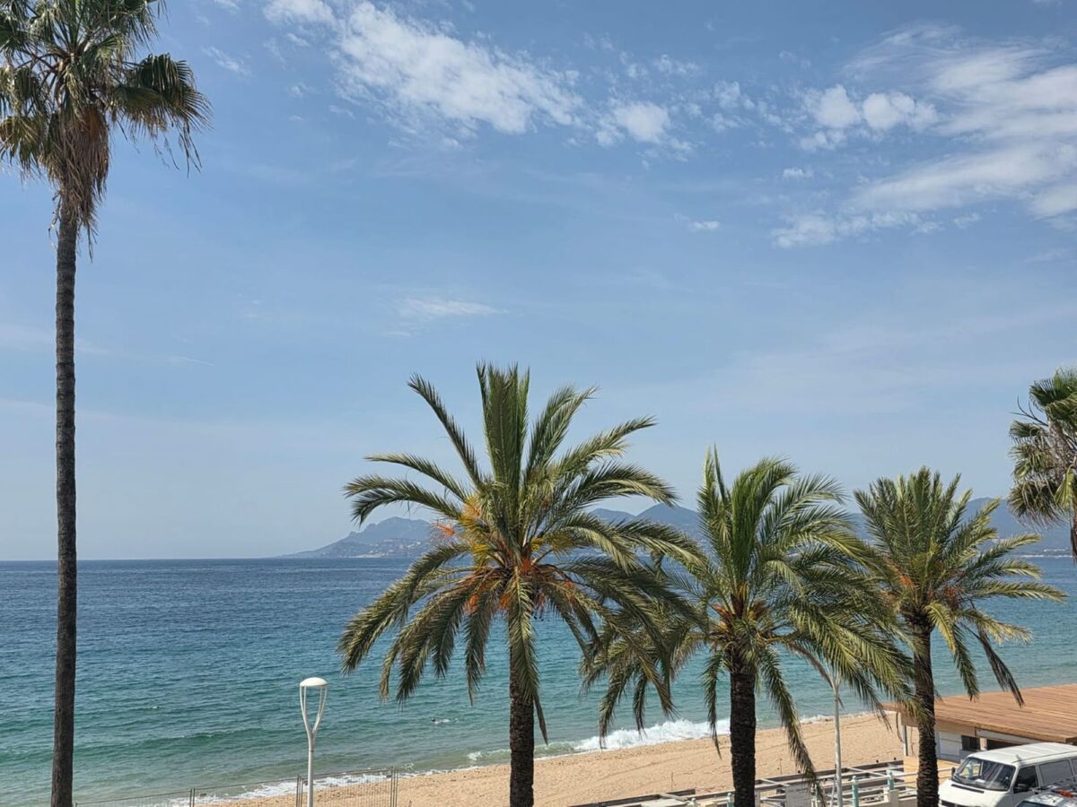 Studio rénové 2025 avec vue panoramique mer à Cannes - Photo 2