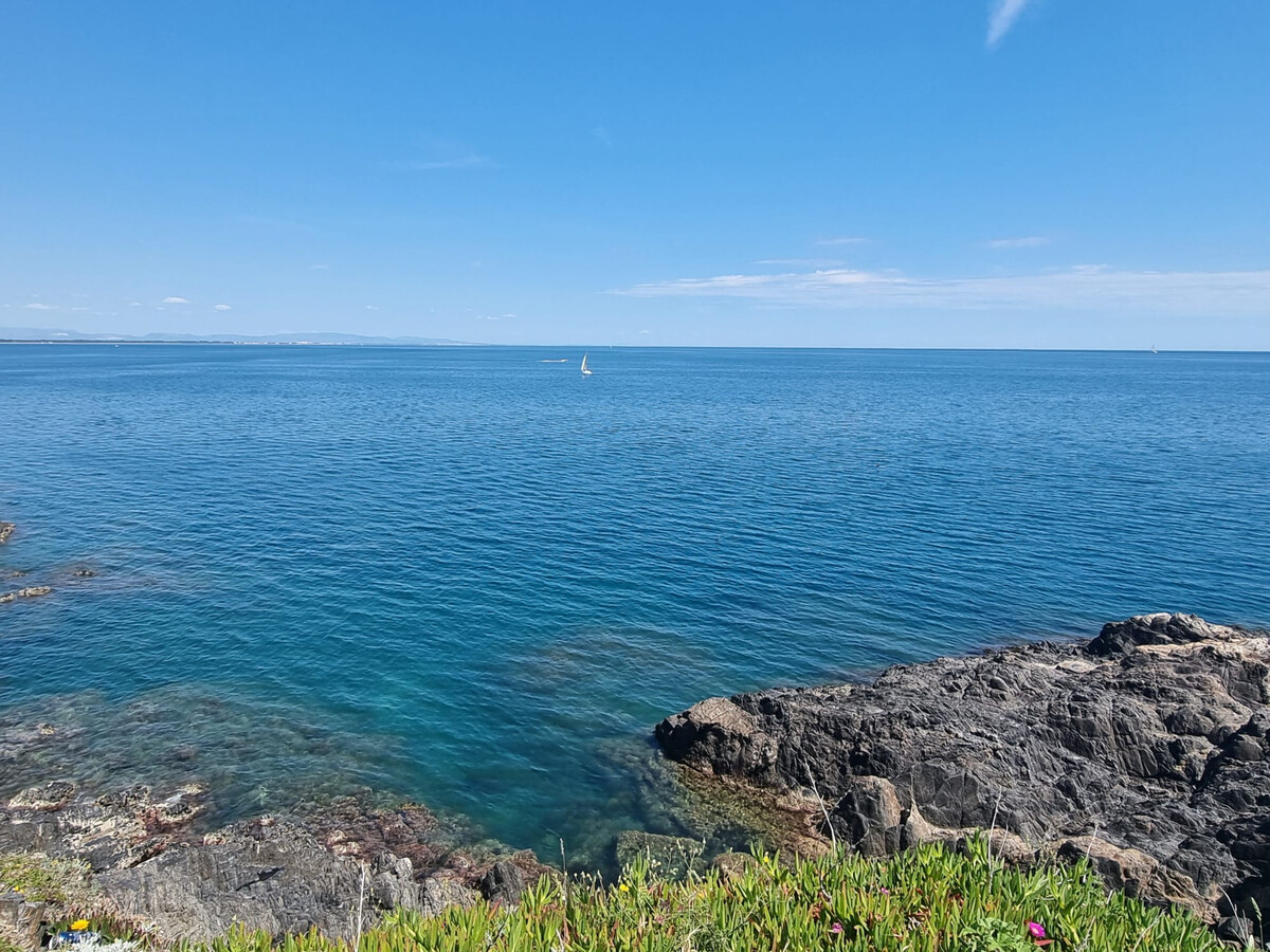 T2 Collioure vue mer, terrasse et parking privé - Photo 18
