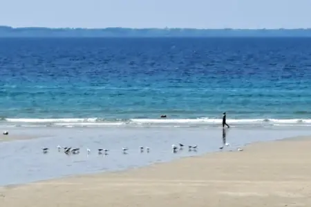 Maison mitoyenne avec jardin clos à 3 min de plage : photo 14