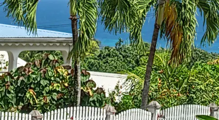 Bungalow charmant à Capesterre-Belle-Eau, 35 m², piscine : photo 5