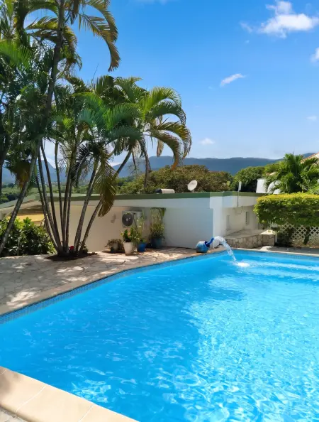 Bungalow charmant à Capesterre-Belle-Eau, 35 m², piscine : photo 8