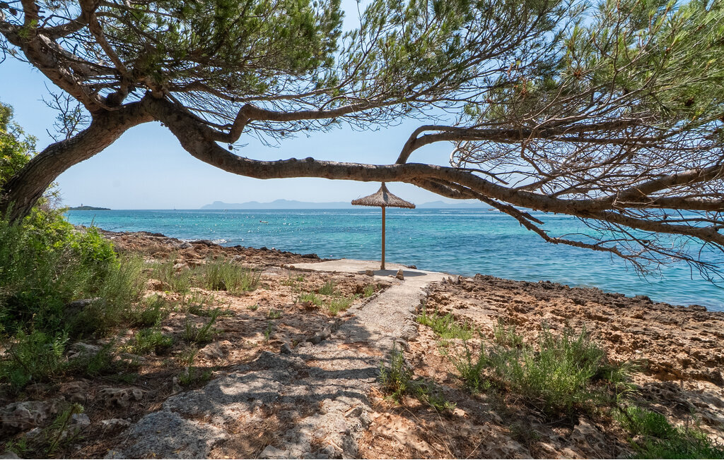 Far d'Alcanada, Maison 12 personnes à Alcudia - Photo 9