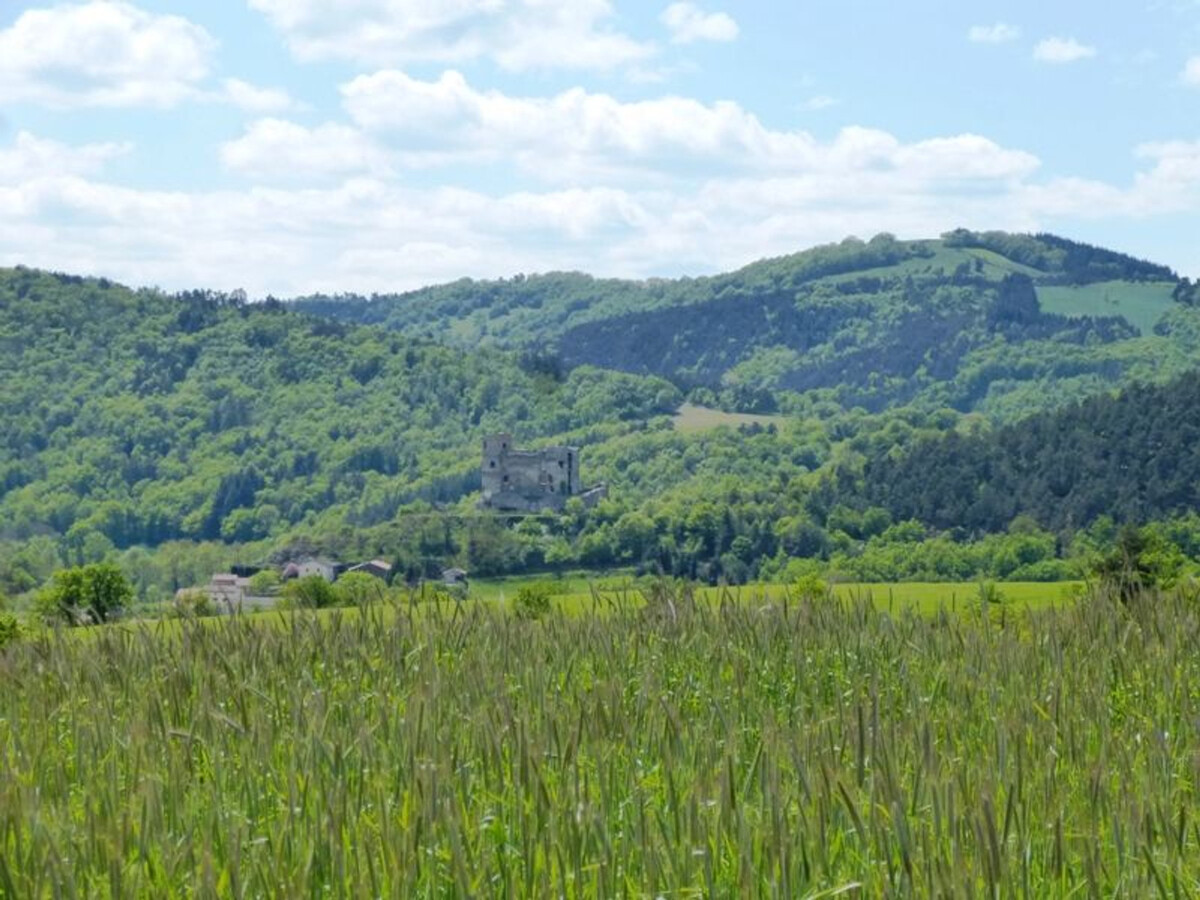 Gîte ferme XIXe avec vue sur les gorges du Doulon - Photo 11
