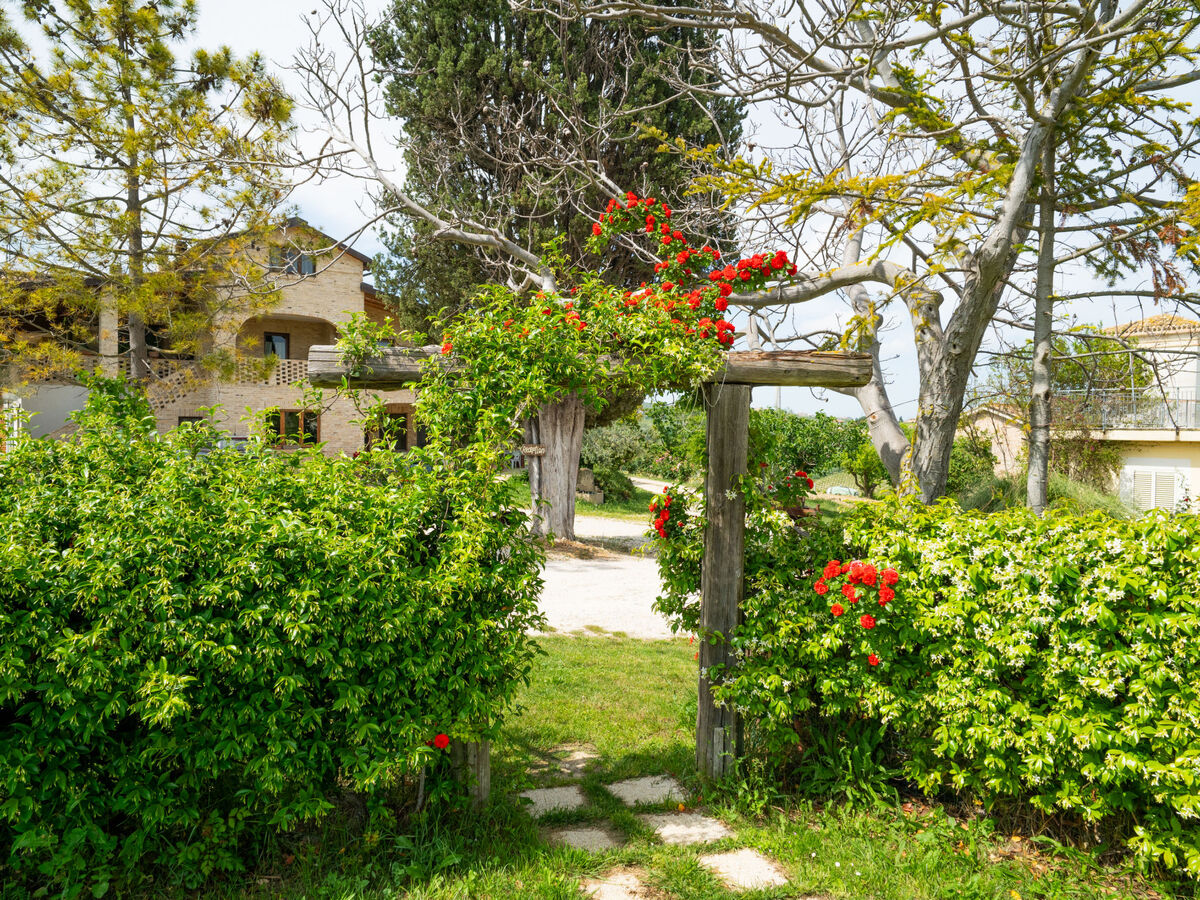 Torretta – Appartement rural à Città Sant'Angelo - Photo 34