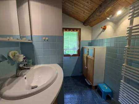 Chalet 8 pers, 99 m², terrasse sud à Beaufort : photo 10
