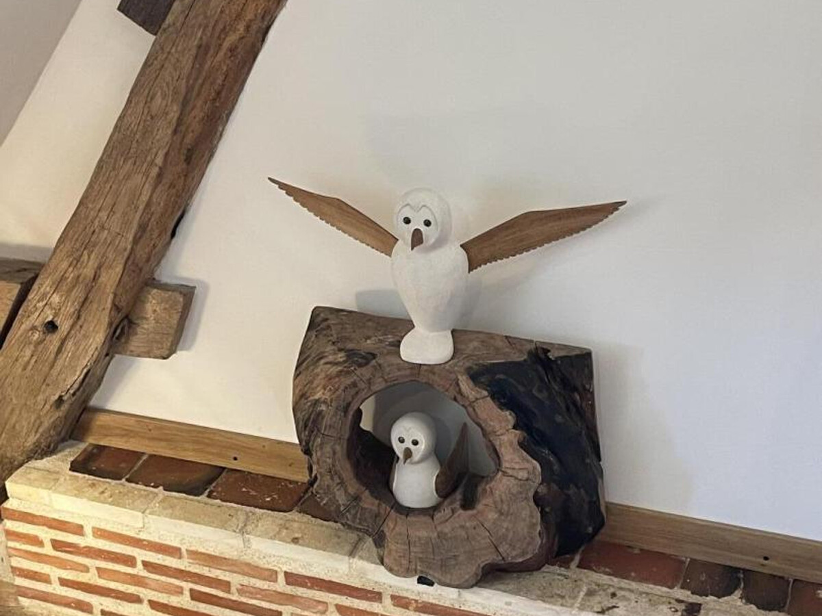 Gîte éco-rénové PMR 6 pers., Pays des Châteaux - Photo 30