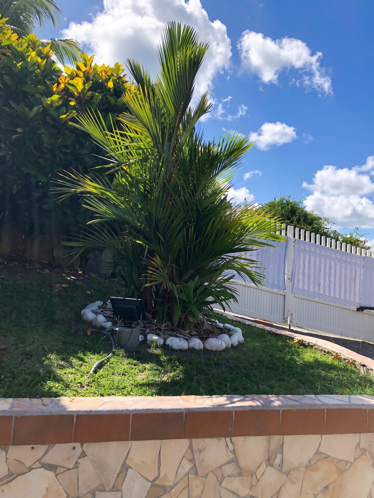 Villa avec piscine privée et 4 chambres au Marin, Martinique - Photo 16