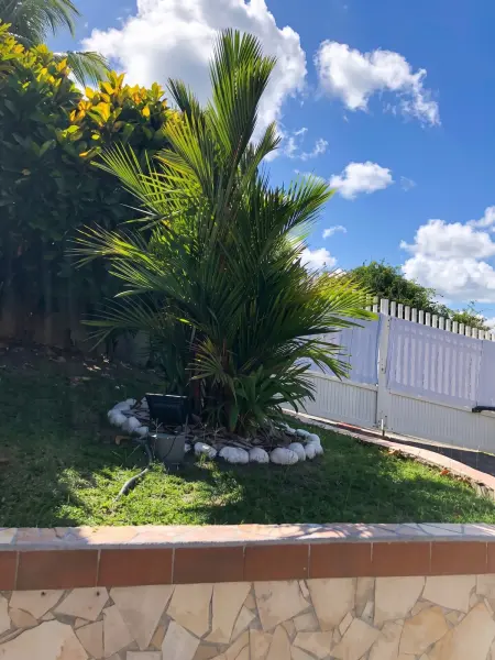 Villa avec piscine privée et 4 chambres au Marin, Martinique : photo 16