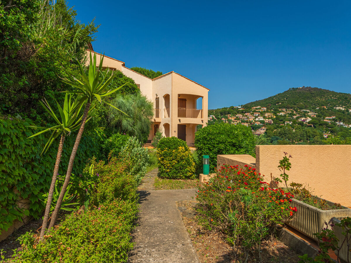 Appartement 2 chambres avec terrasse 20 m² à Bormes-les-Mimosas - Photo 20