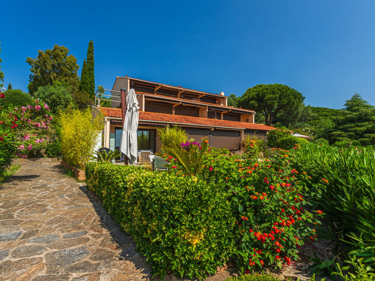Appartement 2 chambres avec terrasse 20 m² à Bormes-les-Mimosas - Photo 23