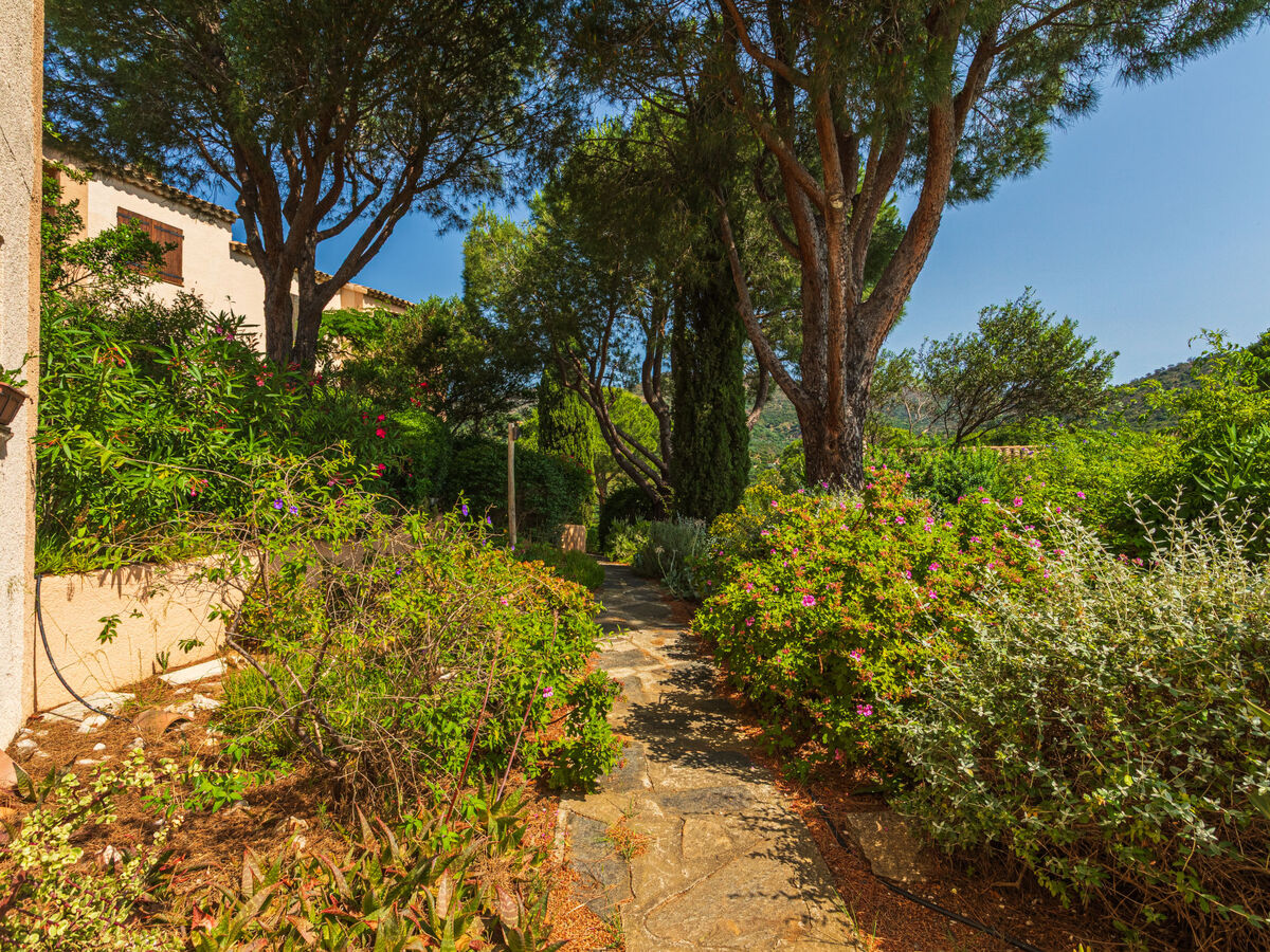 Appartement 2 chambres avec terrasse 20 m² à Bormes-les-Mimosas - Photo 24