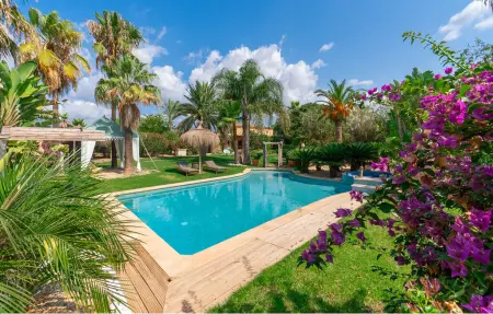 Location maison à Binissalem, Le petit paradis