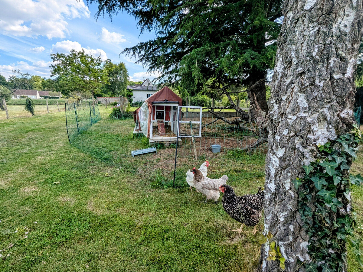 Gîte rural 4 pers. avec piscine près des châteaux de la Loire - Photo 28
