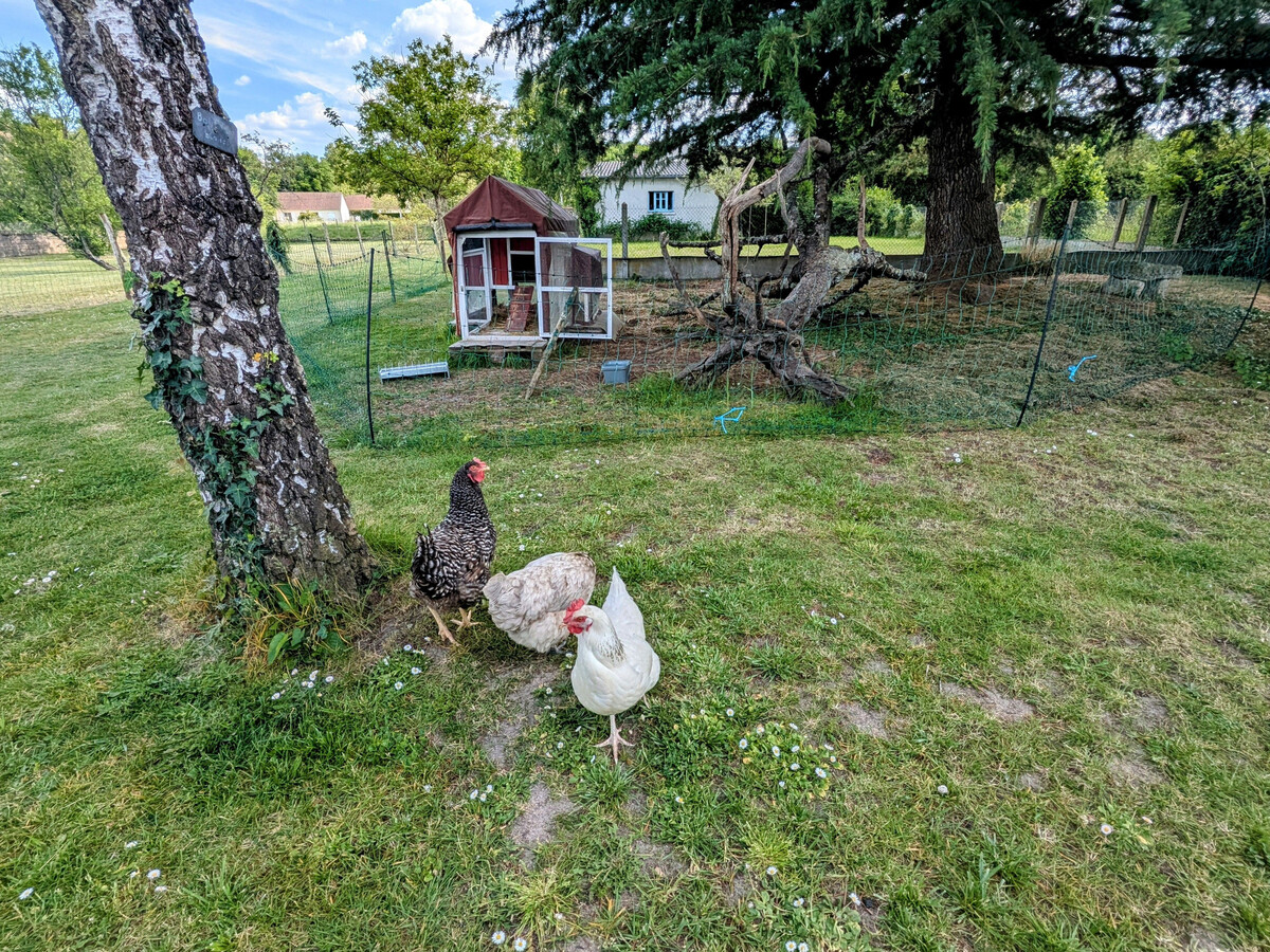 Gîte 4 pers. avec piscine partagée à Chabris - Photo 17