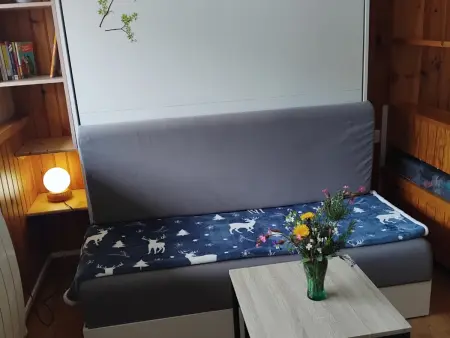Studio montagnard 28m² Super Besse, parking privé - Photo 9
