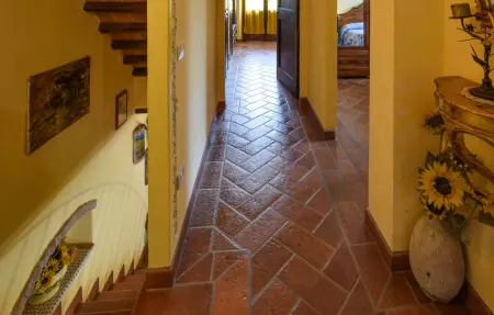 Maison 6 chambres avec piscine à Cortona : photo 41