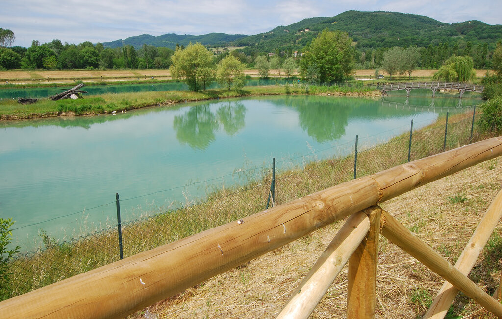 Maison 16 personnes à Montone - Photo 69