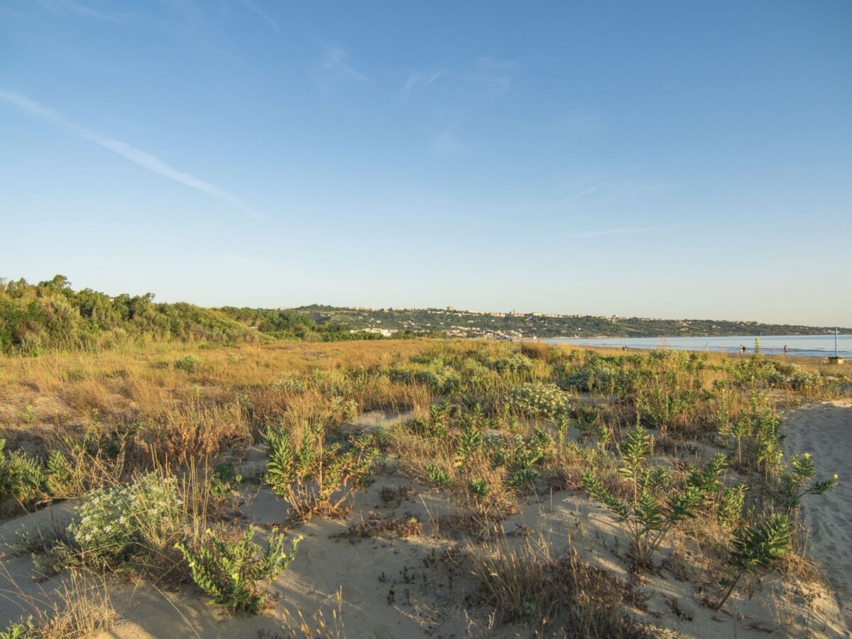 Il Pioppeto – Mobil home 25 m² à 100 m de la plage - Photo 3
