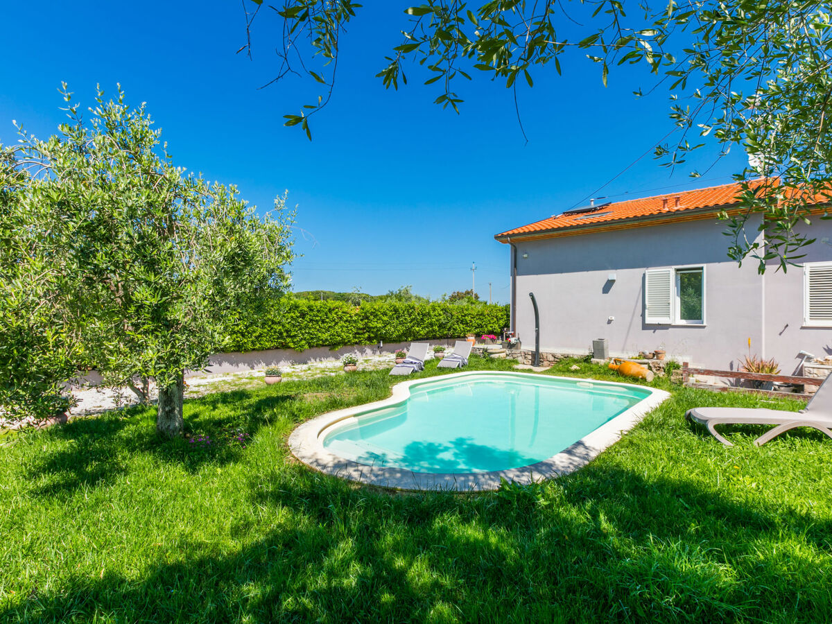 Garden, maison 3 niveaux avec piscine à Cecina - Photo 2