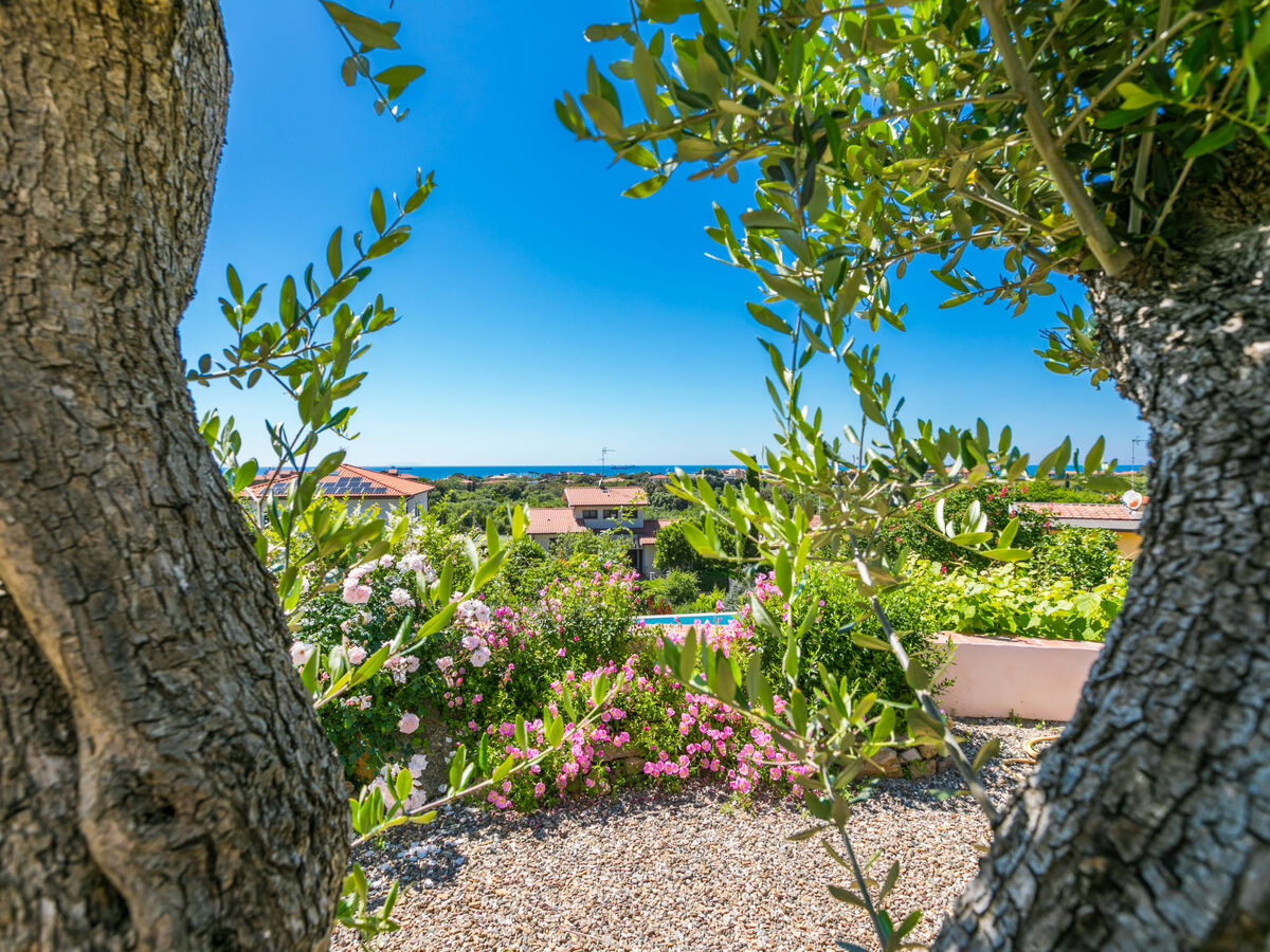 Maison delle Rose à Livourne, vue mer, jardin et plage à 900 m - Photo 27