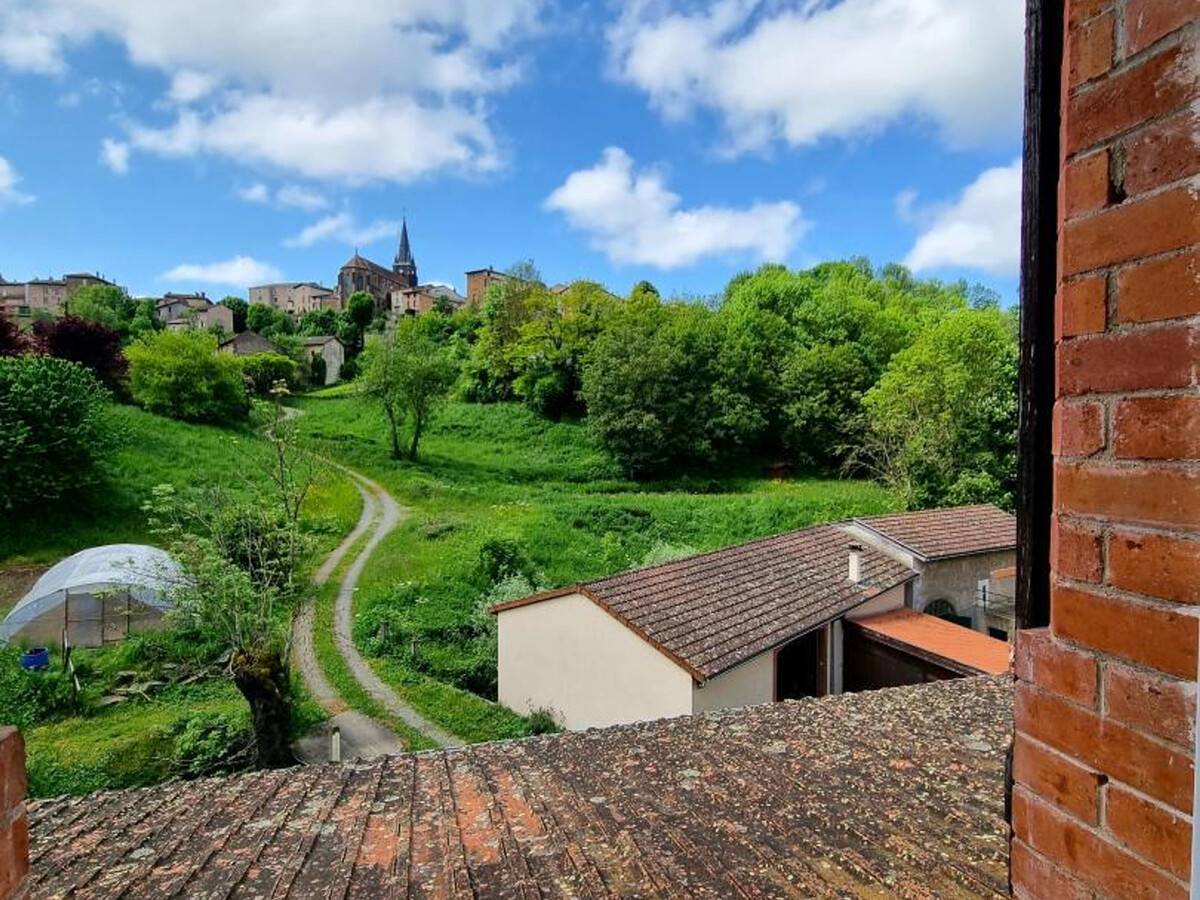 Gîte 6 pers. Néronde, vue village médiéval & jardin rivière - Photo 29
