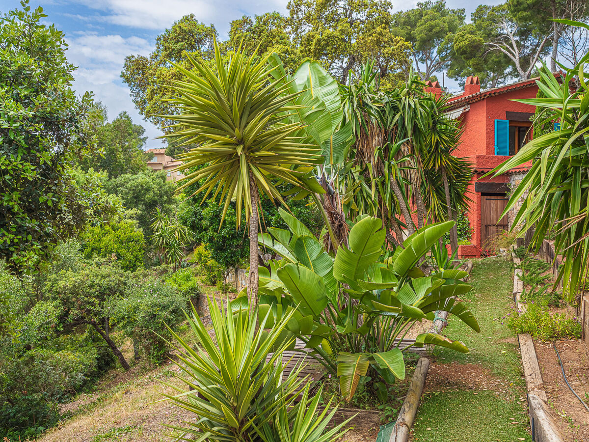 Villa Pénélope à Giens, 4 chambres, vue mer - Photo 6