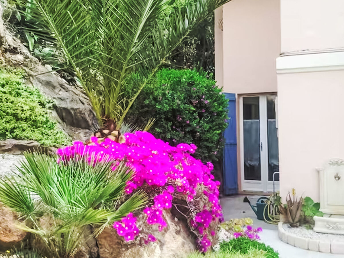 Les Agaves – Appartement 2 pièces vue mer - Photo 13