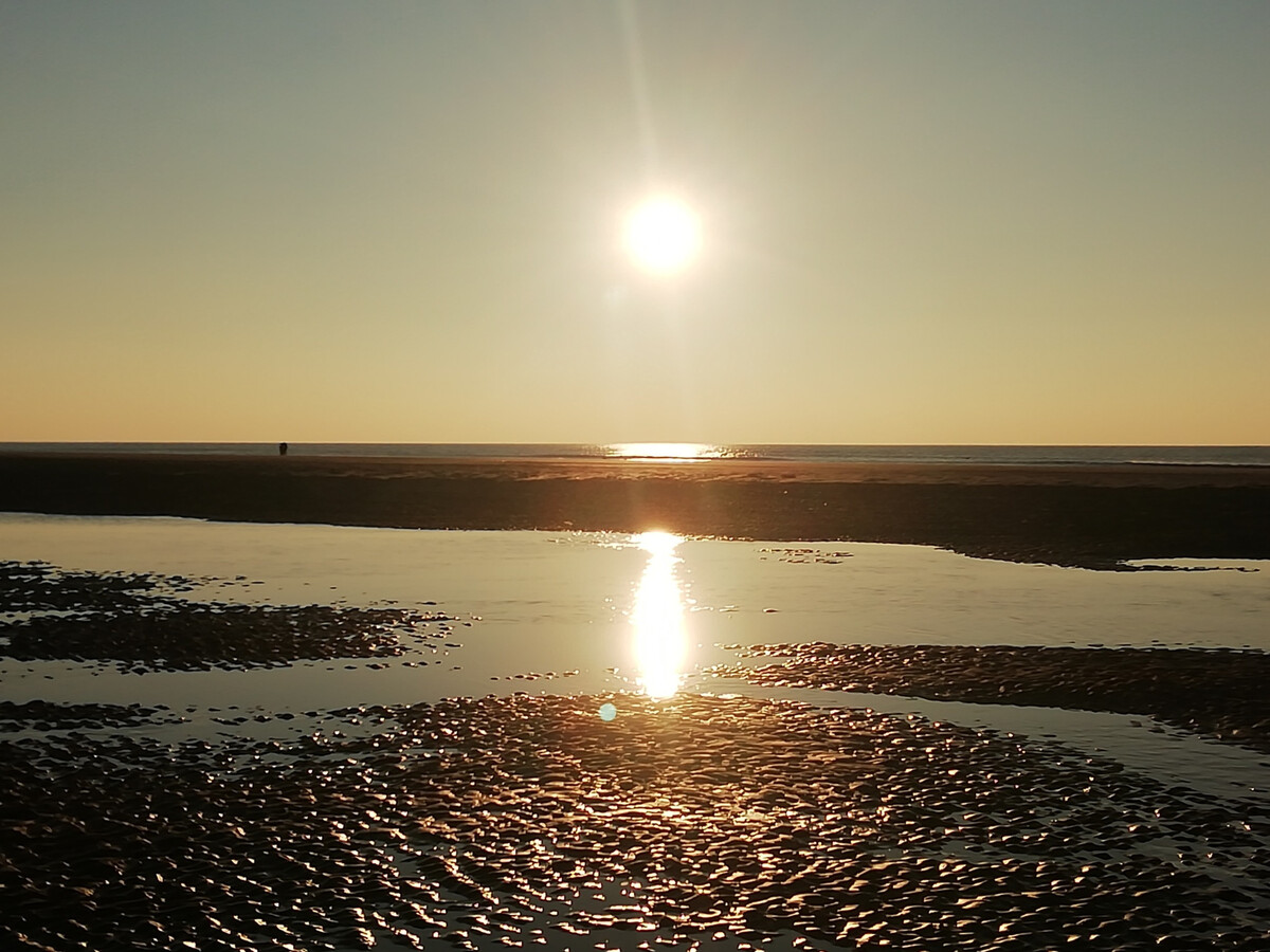 Appartement 2 chambres balcon plage, animaux acceptés - Photo 11