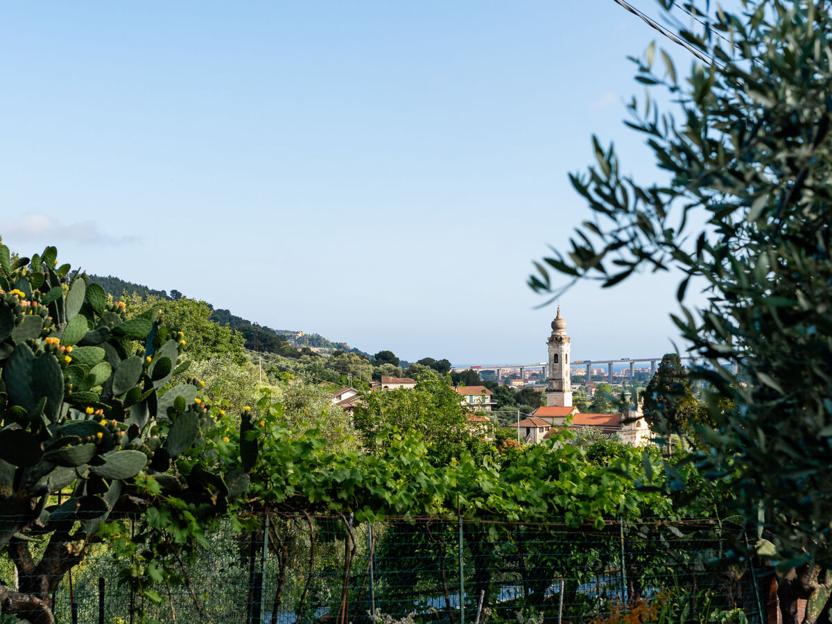 La Bouganville - Apt rustique 60 m² à Marina di Andora - Photo 5