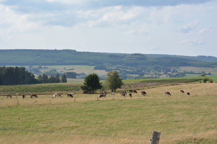 Le Barrage – Maison 8 pers. face à la Semois - Photo 34