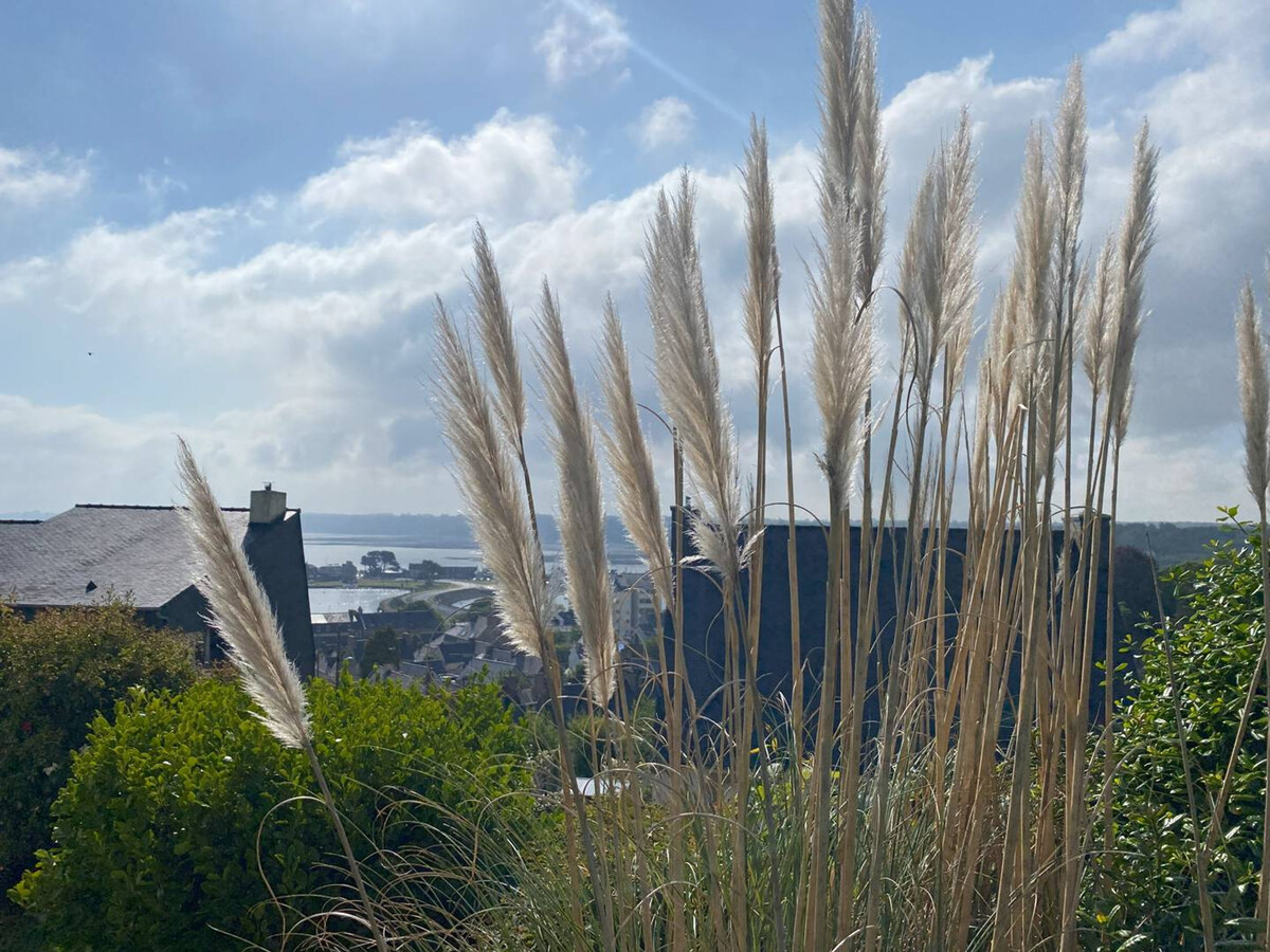 Grande maison vue mer 11 pers., 4 ch. Perros-Guirec - Photo 22