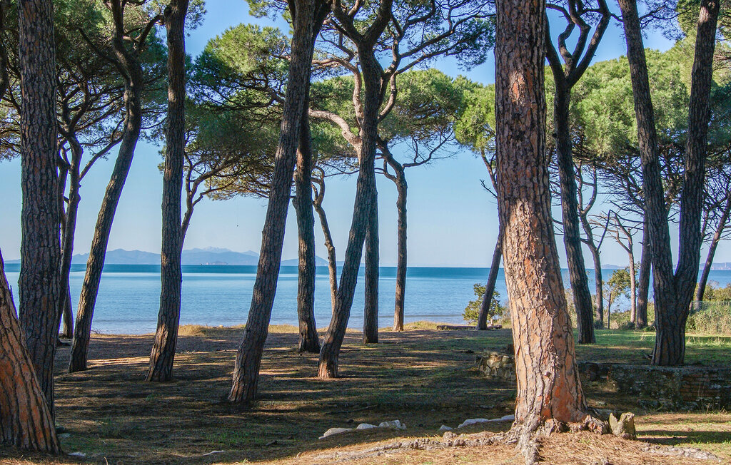 Maison 7 personnes à Campiglia Marittima - Photo 8
