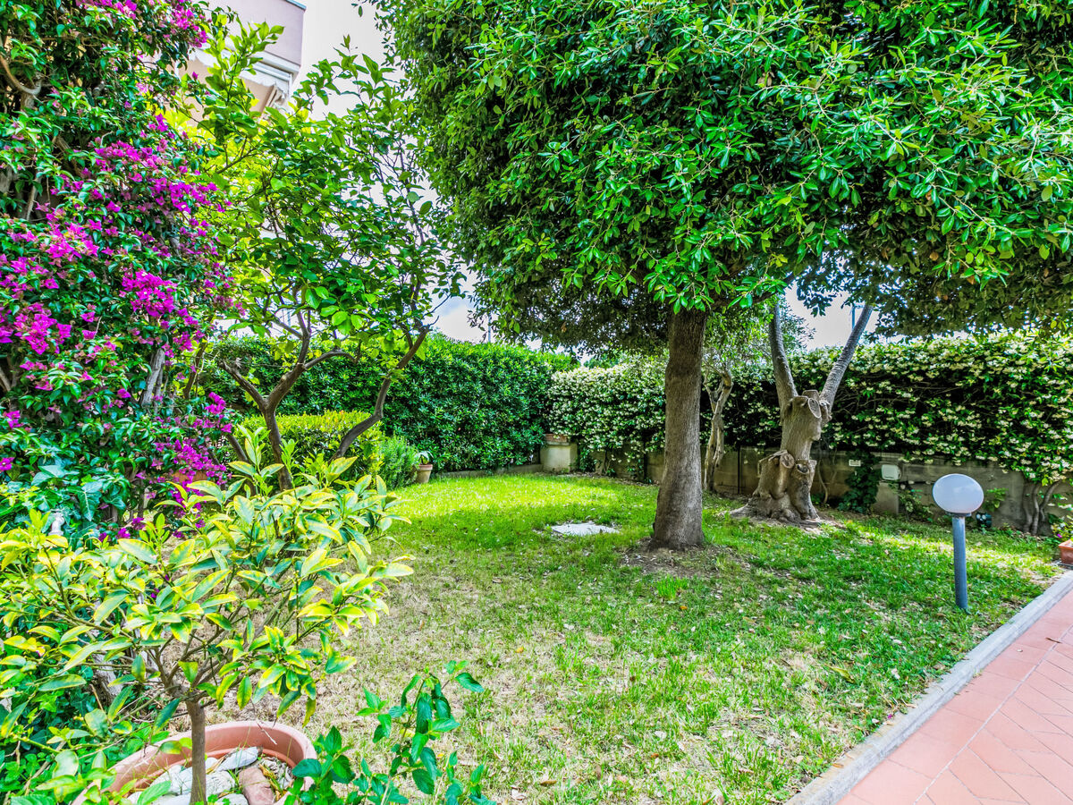 Piccolo Leccio - Appartement 4 chambres à Cecina - Photo 1