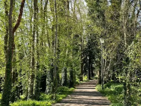 Gîte 6 pers. Rosières-prés-Troyes, jardin clos & animaux OK : photo 21