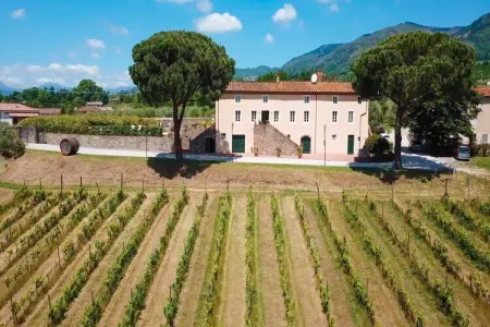 Villa Fattoria Camigliano, domaine baroque en Toscane : photo 2