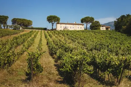 Villa Fattoria Camigliano, domaine baroque en Toscane : photo 3