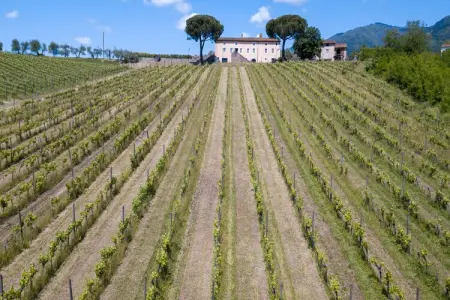 Villa Fattoria Camigliano, domaine baroque en Toscane : photo 4