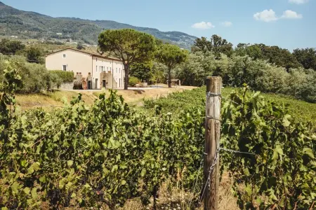 Villa Fattoria Camigliano, domaine baroque en Toscane : photo 7