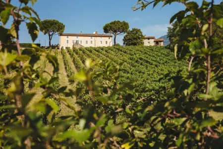 Villa Fattoria Camigliano, domaine baroque en Toscane : photo 8