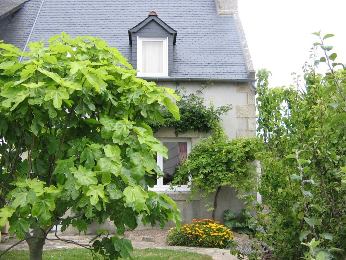 Maison 3 chambres Trégastel avec parking et jardin - Photo 13