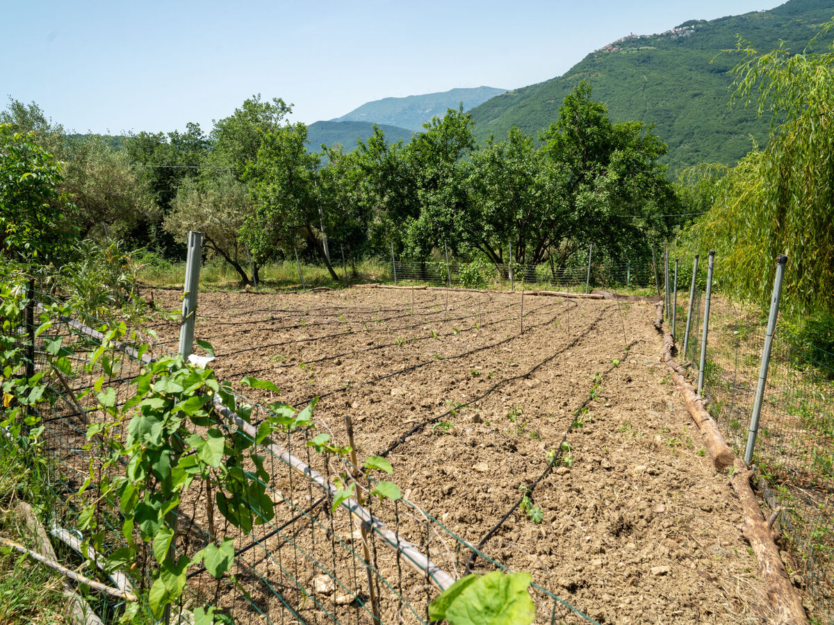 Gîte Nonna Gemma – Forêt et jardin près de Palmoli - Photo 24