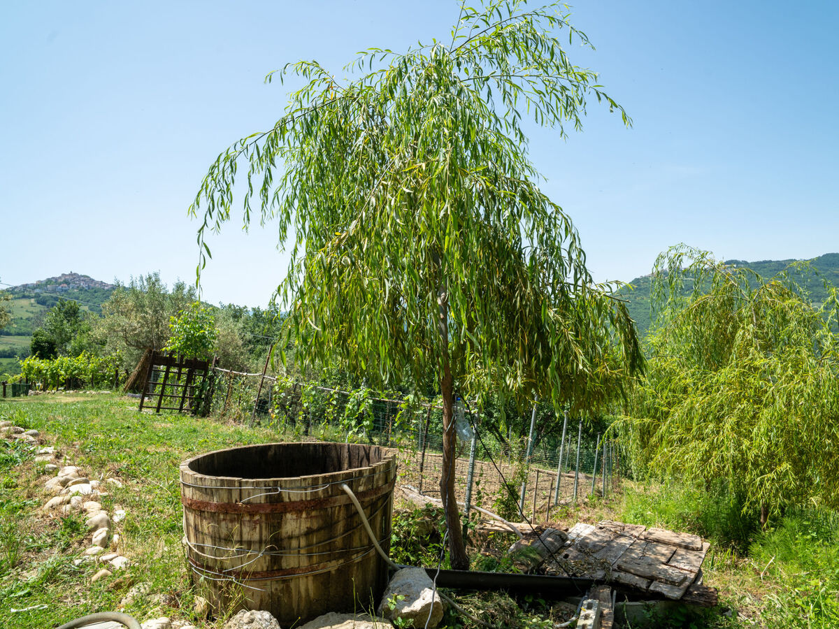 Gîte Nonna Gemma – Forêt et jardin près de Palmoli - Photo 25
