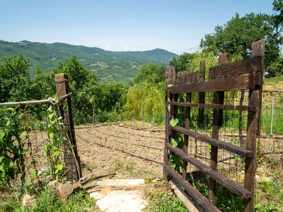 Gîte Nonna Gemma – Forêt et jardin près de Palmoli - Photo 26