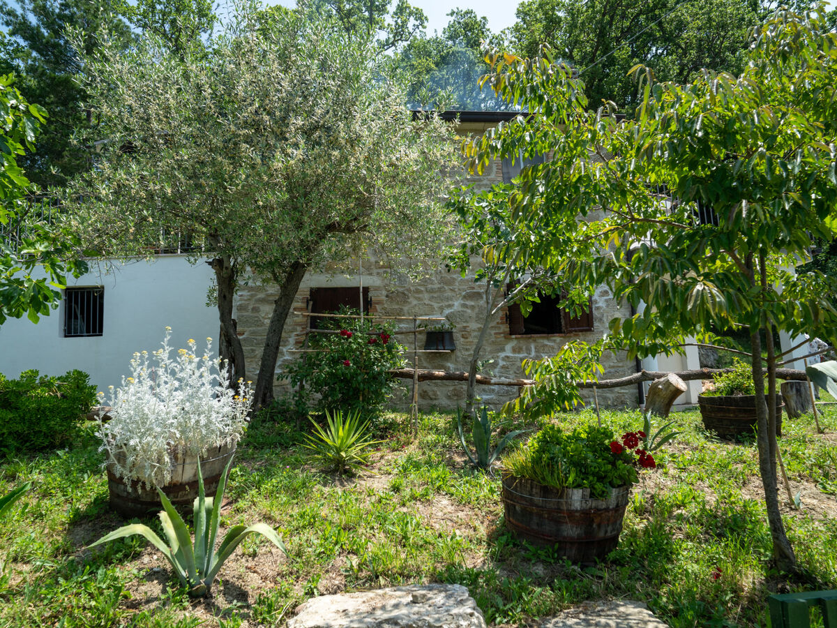 Gîte Nonna Gemma – Forêt et jardin près de Palmoli - Photo 38