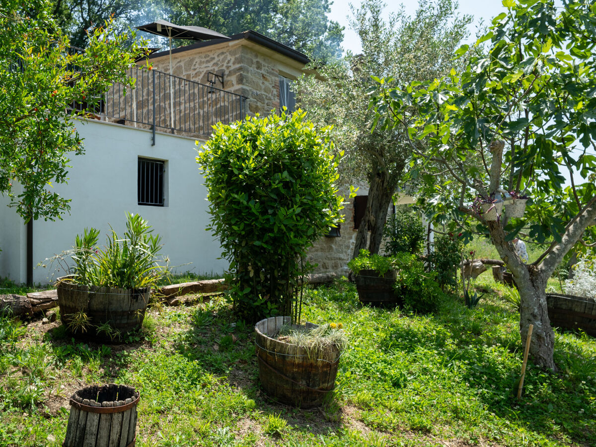 Gîte Nonna Gemma – Forêt et jardin près de Palmoli - Photo 39