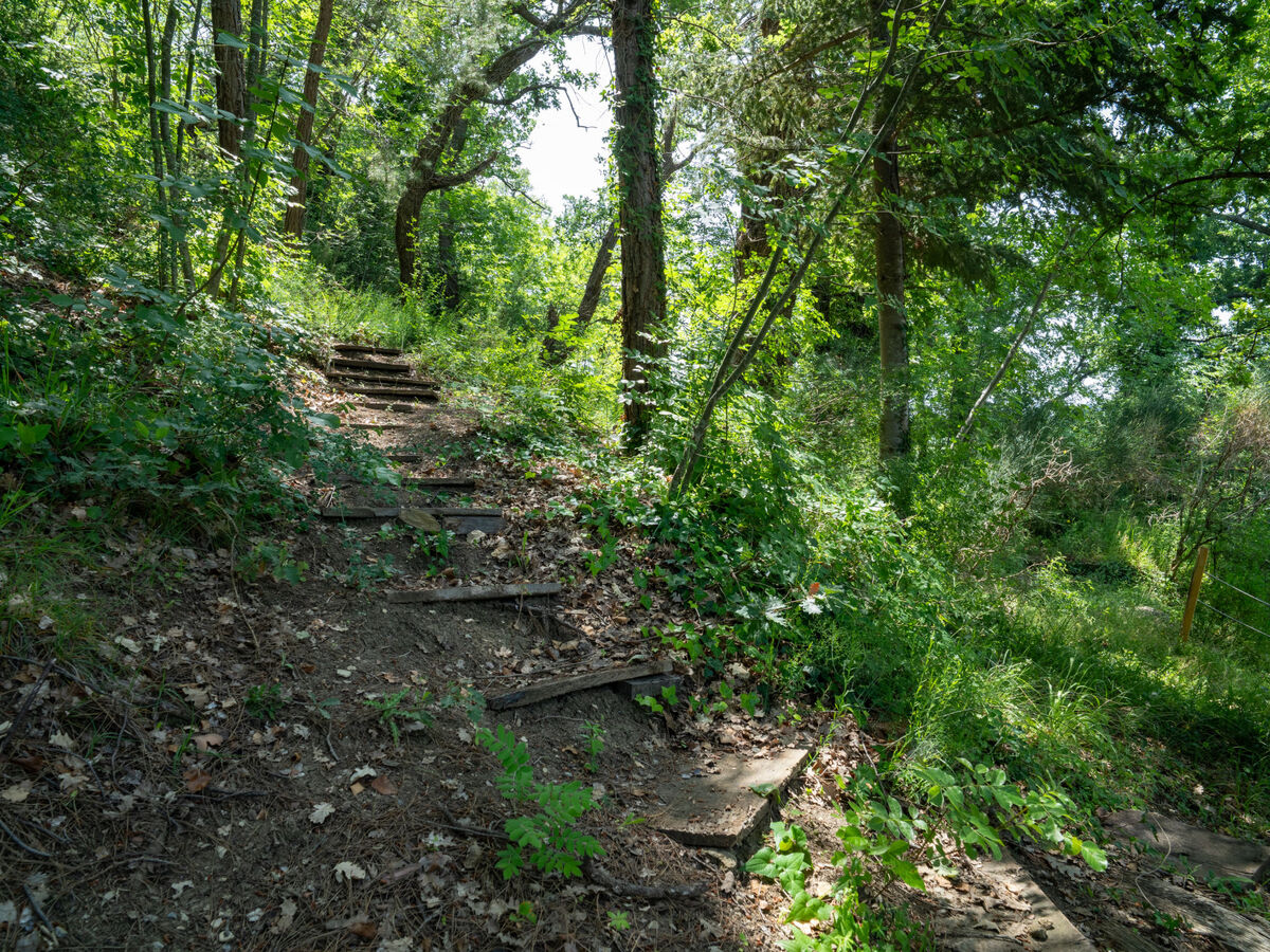 Gîte Nonna Gemma – Forêt et jardin près de Palmoli - Photo 40