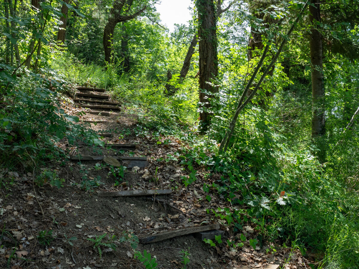 Gîte Nonna Gemma – Forêt et jardin près de Palmoli - Photo 41