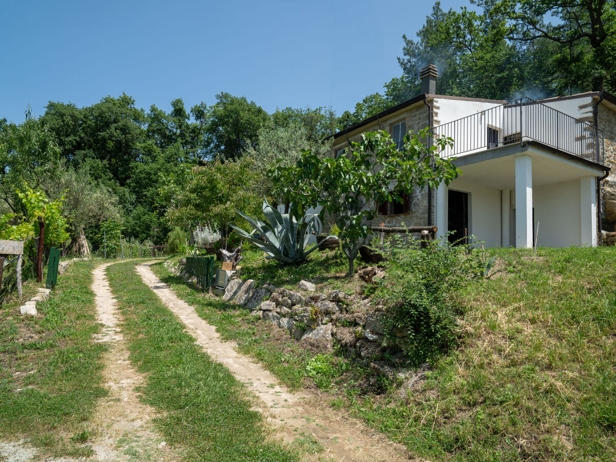 Gîte Nonna Gemma – Forêt et jardin près de Palmoli - Photo 43